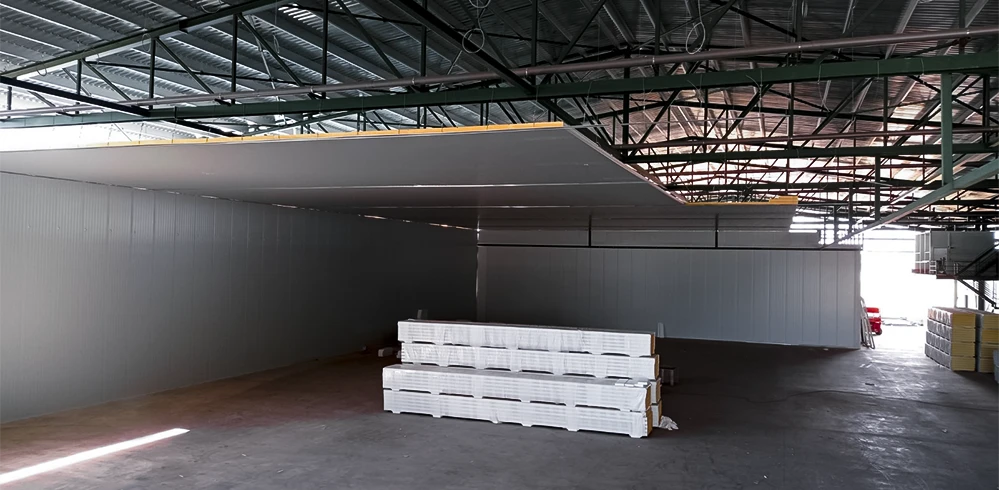 Proyecto incluyó sistemas avanzados de monitoreo de temperatura y humedad, asegurando condiciones óptimas para la preservación de productos sensibles.