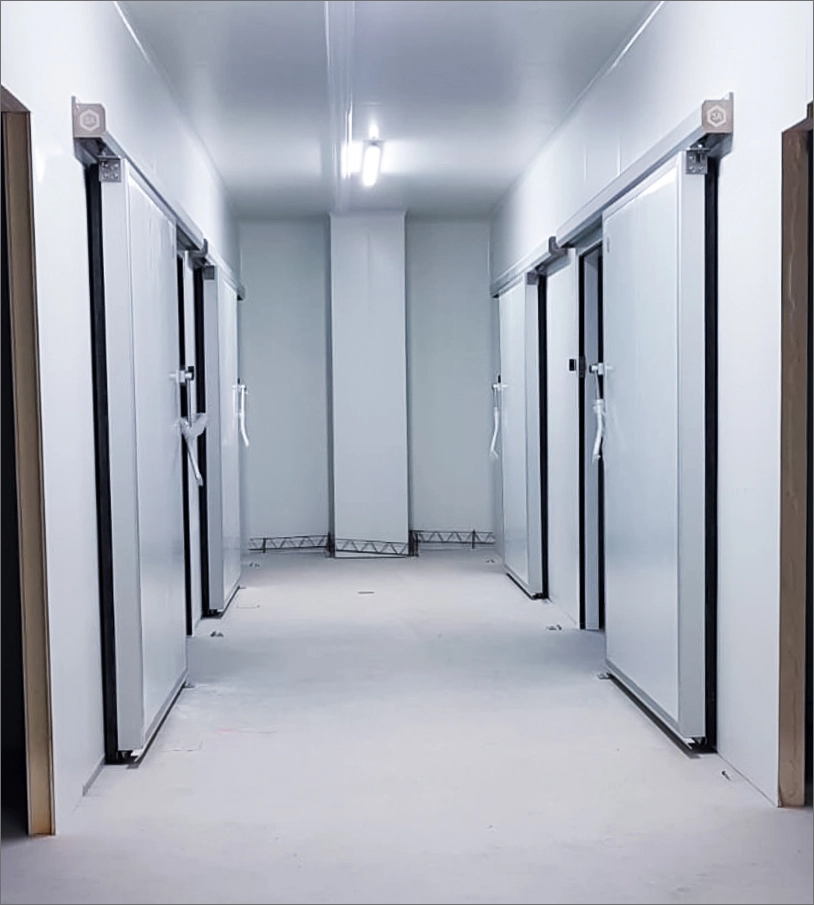 Ofrecemos diversas cámaras frigoríficas de conservación diseñadas para satisfacer las necesidades de la industria alimentaria, farmacéutica y logística.