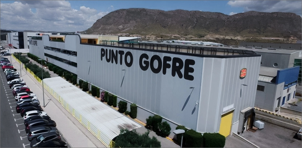 Proyecto Punto Gofre