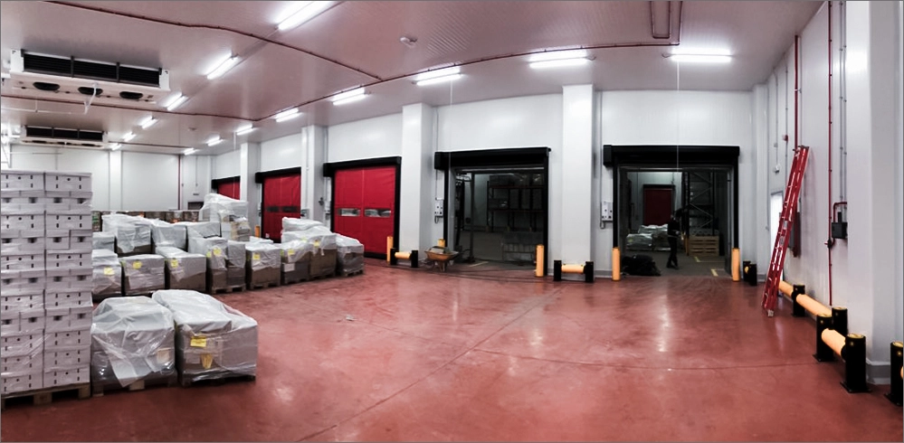 Proyecto Centro Logístico