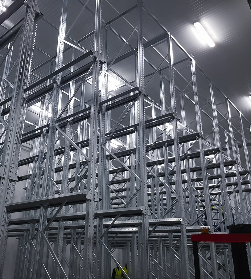 proyecto de logística y distribución